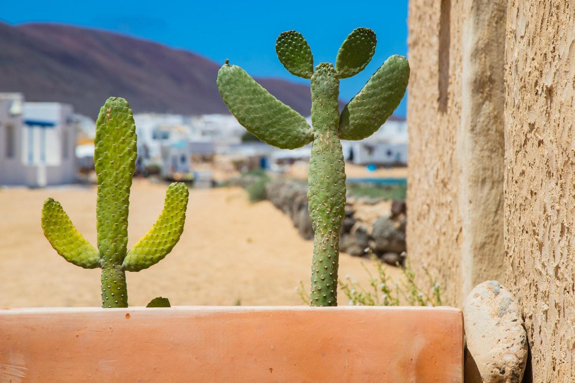 Eslanzarote La Duna House, Wifi, Sea Views Caleta de Sebo Ngoại thất bức ảnh